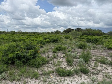 Excellent opportunity to own three 1/2 acre lots in Choke Canyon - photo 3