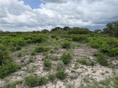 Excellent opportunity to own three 1/2 acre lots in Choke Canyon - photo 5