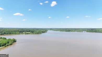 Great home on the best part of Lake Oconee facing the National - photo 30