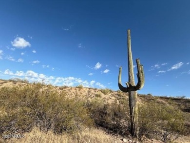 Lake Acreage For Sale in Fort Mcdowell, Arizona