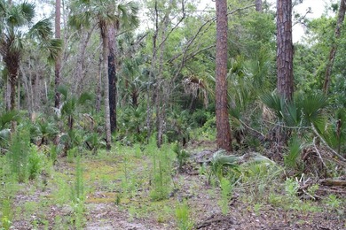 Amazing 37-acre recreational property and potential homesite - photo 8