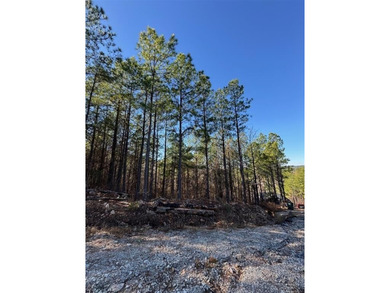 Broken Bow Lake Lot For Sale in Broken Bow Oklahoma