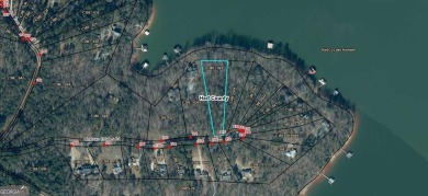 Lake Lot For Sale in Lavonia, Georgia