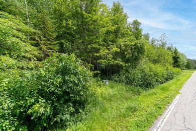 Come see the possibilities this land with frontage on the Bay of - photo 14