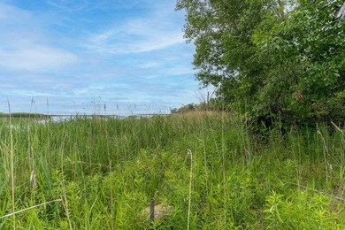 Come see the possibilities this land with frontage on the Bay of - photo 18