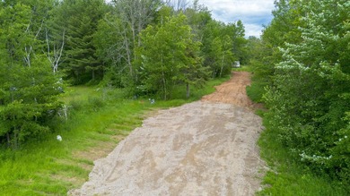 Come see the possibilities this land with frontage on the Bay of - photo 20