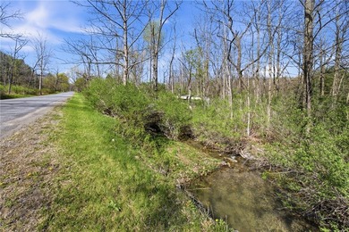Did you ever want to have a house, cabin or camp creek side so - photo 4