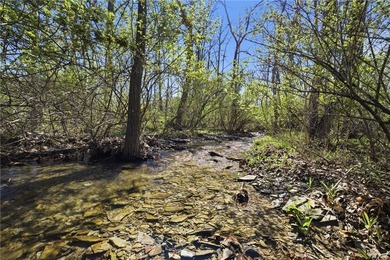 Did you ever want to have a house, cabin or camp creek side so - photo 6