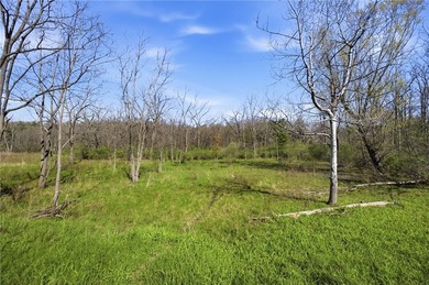 Did you ever want to have a house, cabin or camp creek side so - photo 7