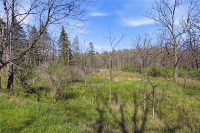 Did you ever want to have a house, cabin or camp creek side so - photo 8