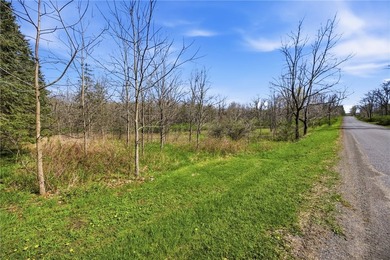 Did you ever want to have a house, cabin or camp creek side so - photo 9