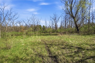Did you ever want to have a house, cabin or camp creek side so - photo 10