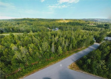 Lake Lot For Sale in Coleraine, Minnesota