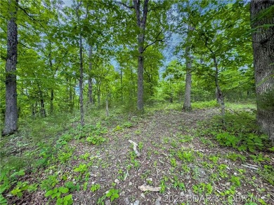 Great Building Lot on 2.4 Acres. The lot is just a 1/2 mile from - photo 12