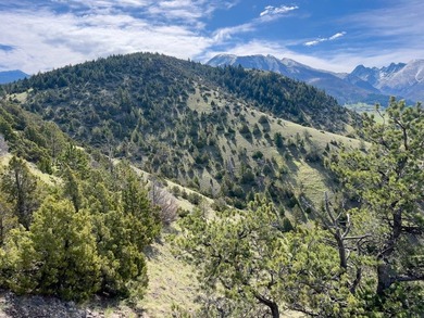 Opportunity awaits in the famed Paradise Valley of Livingston - photo 13