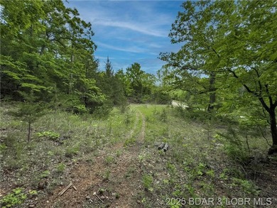 Great Building Lot on 2.4 Acres. The lot is just a 1/2 mile from - photo 13
