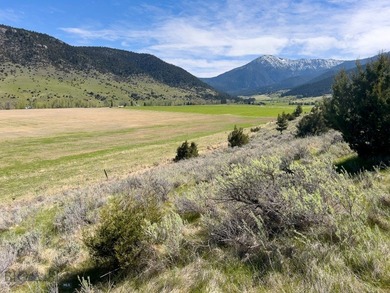 Opportunity awaits in the famed Paradise Valley of Livingston - photo 17