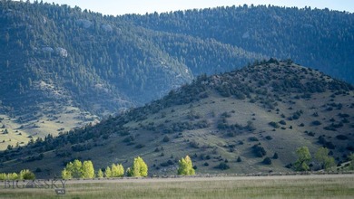 Opportunity awaits in the famed Paradise Valley of Livingston - photo 18