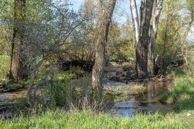 Opportunity awaits in the famed Paradise Valley of Livingston - photo 26