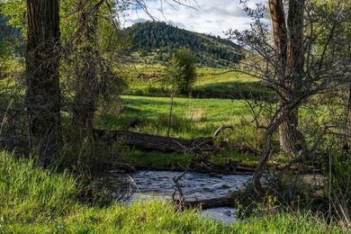 Opportunity awaits in the famed Paradise Valley of Livingston - photo 27