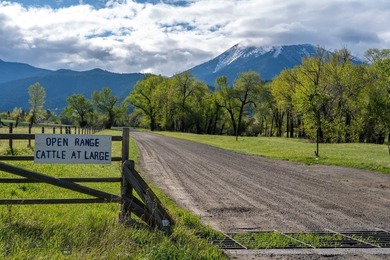 Opportunity awaits in the famed Paradise Valley of Livingston - photo 29