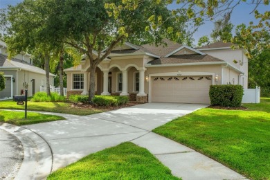 Lake Home Sale Pending in Wesley Chapel, Florida