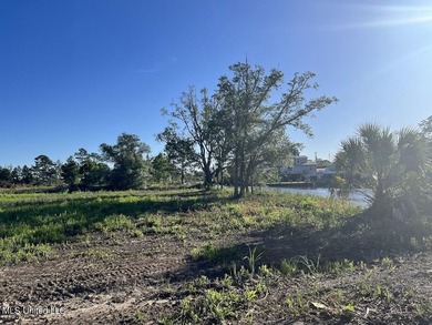 150 feet on Twin Bayou in Bay St. Louis!!! You've got real room - photo 6