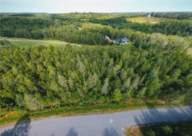 Lake Lot For Sale in Coleraine, Minnesota