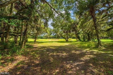**K & P Ranch** is a rare opportunity to own one of Southwest - photo 12