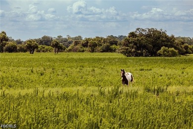 **K & P Ranch** is a rare opportunity to own one of Southwest - photo 13