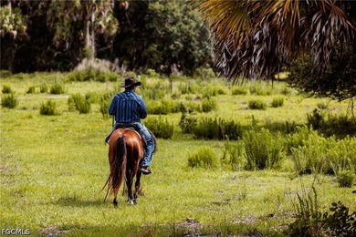 **K & P Ranch** is a rare opportunity to own one of Southwest - photo 14