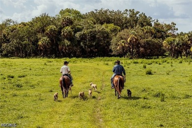 **K & P Ranch** is a rare opportunity to own one of Southwest - photo 15