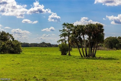 **K & P Ranch** is a rare opportunity to own one of Southwest - photo 16