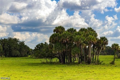**K & P Ranch** is a rare opportunity to own one of Southwest - photo 18