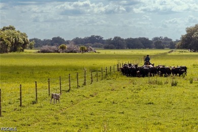 **K & P Ranch** is a rare opportunity to own one of Southwest - photo 21