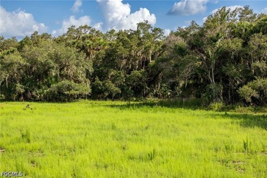 **K & P Ranch** is a rare opportunity to own one of Southwest - photo 22