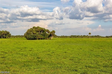 **K & P Ranch** is a rare opportunity to own one of Southwest - photo 26