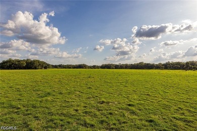 **K & P Ranch** is a rare opportunity to own one of Southwest - photo 27