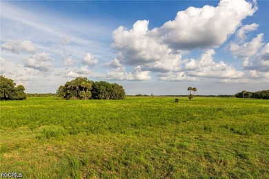 **K & P Ranch** is a rare opportunity to own one of Southwest - photo 28
