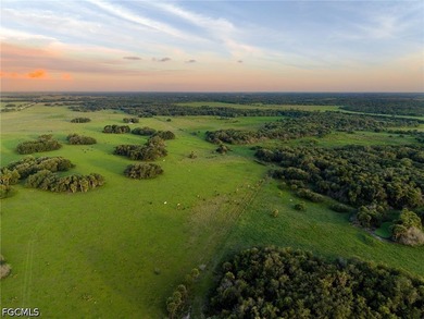 **K & P Ranch** is a rare opportunity to own one of Southwest - photo 43