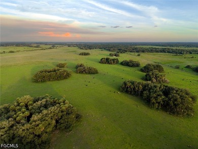 **K & P Ranch** is a rare opportunity to own one of Southwest - photo 44