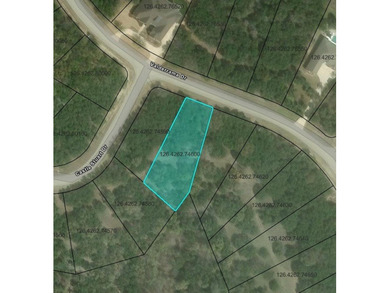 Build your dream home on this beautiful, heavily wooded homesite - photo 5