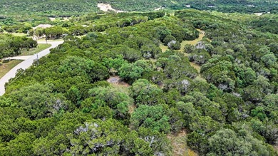 Build your dream home on this beautiful, heavily wooded homesite - photo 10