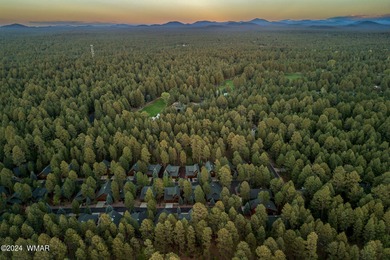 Immaculate condo, uniquely designed as a single-family residence