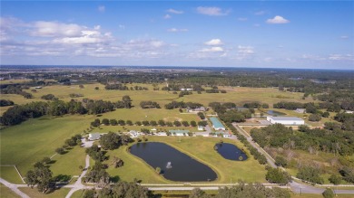Lake Home Sale Pending in Leesburg, Florida