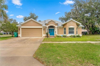 Lake Sumter Home For Sale in Lady Lake Florida