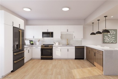 New Luxury Townhomes in Lakewood -- A Rare Opportunity For the - photo 5