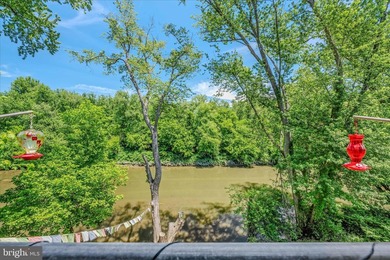 Enjoy breathtaking river views from your own treetop retreat - photo 19