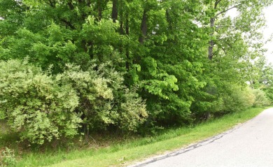 Lake Lot For Sale in Gladwin, Michigan