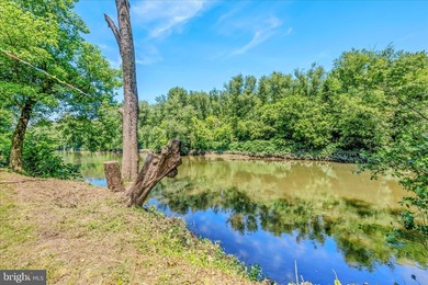 Enjoy breathtaking river views from your own treetop retreat - photo 34